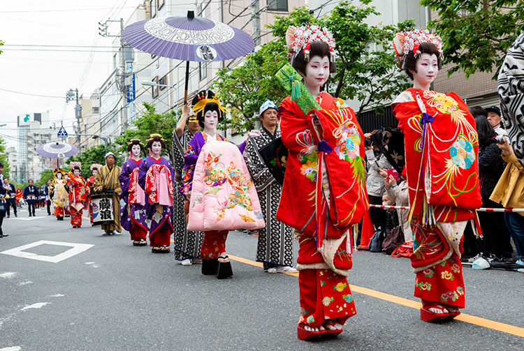 トップ100花 花魁 最高の花の画像