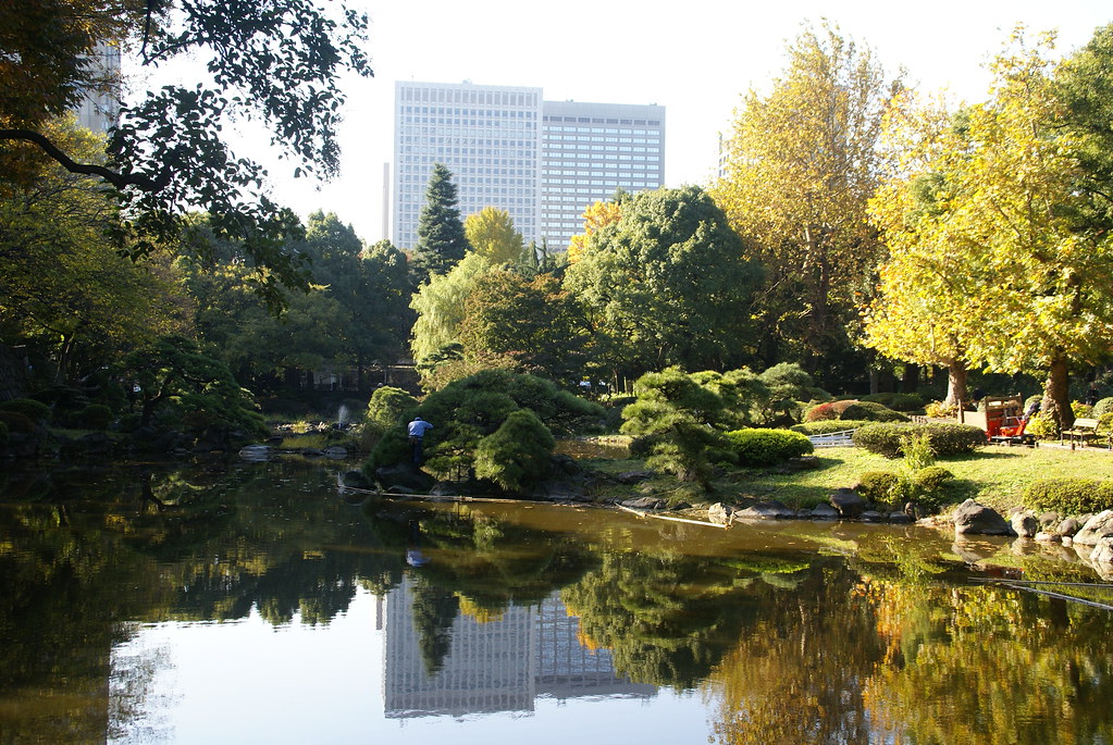 日比谷公園 行動貓