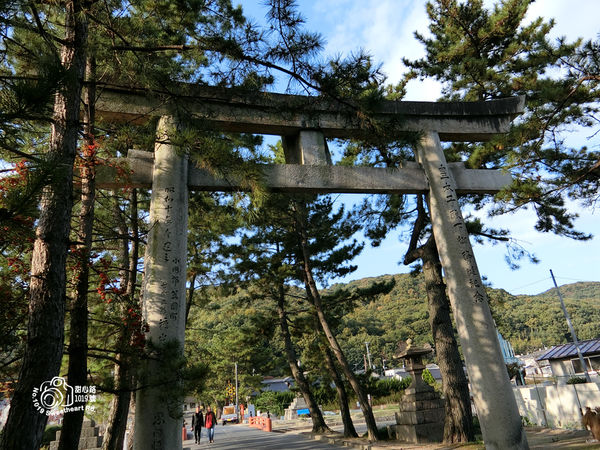 17秋 岡山 吉備津神社相遇600年金黃銀杏 360米跑不到盡頭的迴廊 行動貓